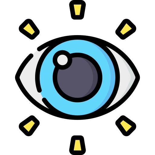 Vision